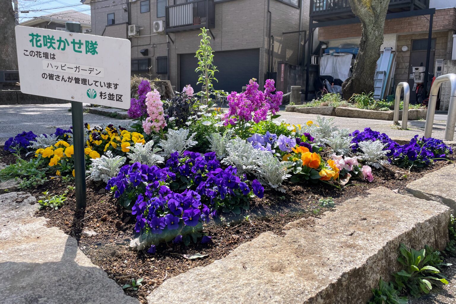 公園花壇の写真集をつくり、ボランティアに配付 - 一般社団法人 みんなの公園愛護会